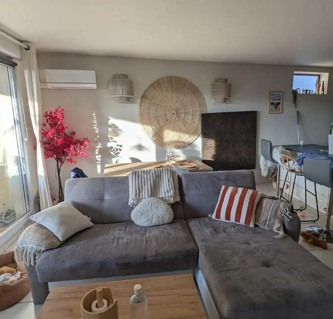 Superbe Appartement Quartier Timone Marseille